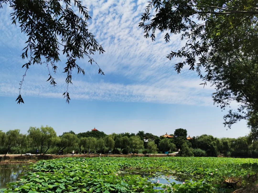 1658279299912706.jpg 1658279299912706.jpg