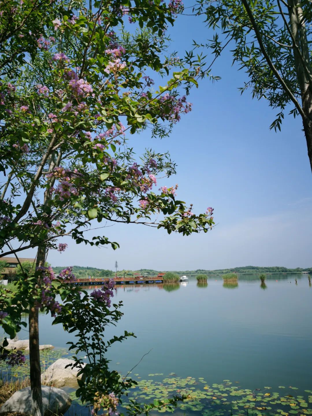 1658279269661477.jpg 1658279269661477.jpg