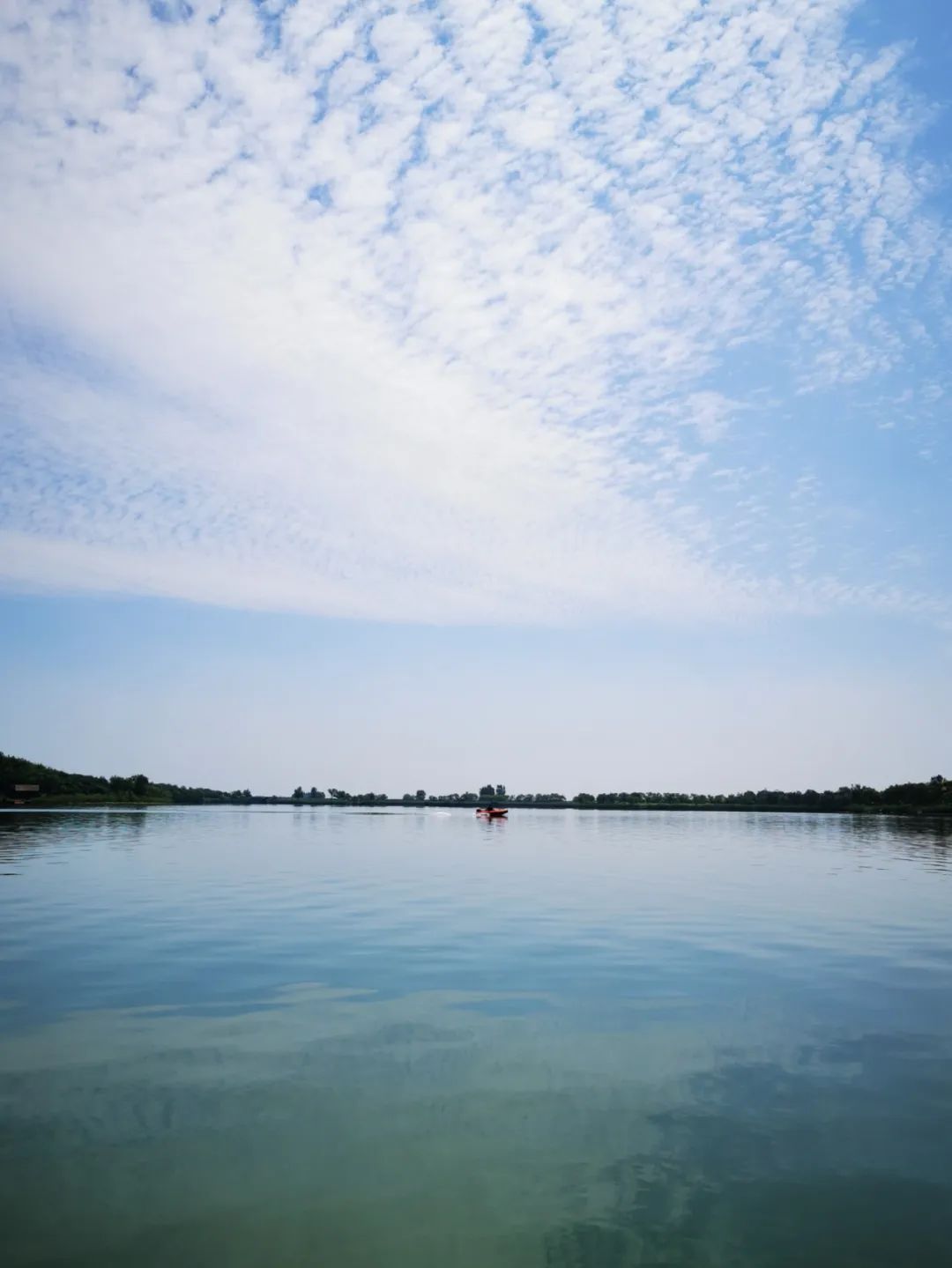 1658279165531187.jpg 1658279165531187.jpg